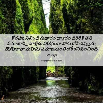 Picture 06 - సంఖ్యాకాండం 16:19 TELIRV - కోరహు సన్నిధి - Bible Verse Picture