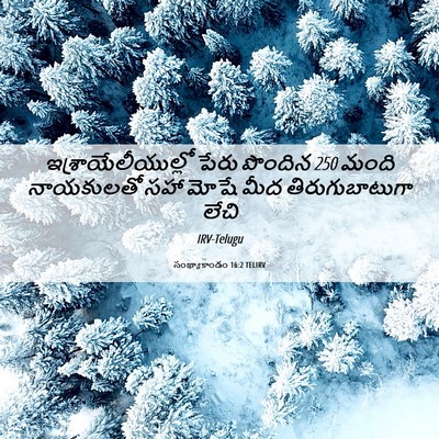 Picture 06 - సంఖ్యాకాండం 16:2 TELIRV - ఇశ్రాయేలీయుల్లో - Bible Verse Picture