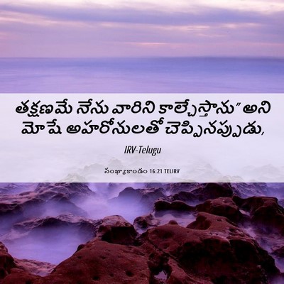 Picture 06 - సంఖ్యాకాండం 16:21 TELIRV - తక్షణమే నేను - Bible Verse Picture