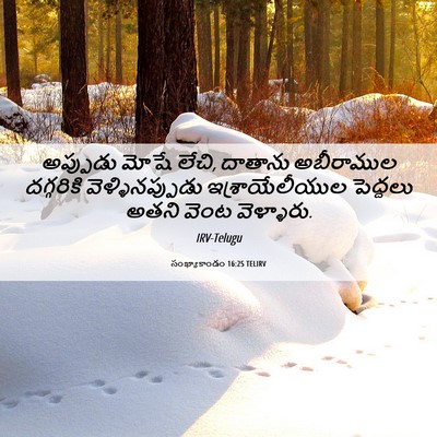 Picture 06 - సంఖ్యాకాండం 16:25 TELIRV - అప్పుడు మోషే లేచి, - Bible Verse Picture