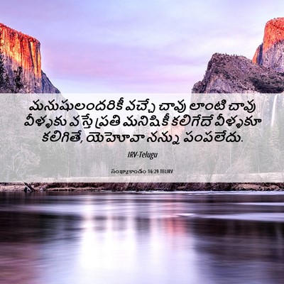 Picture 06 - సంఖ్యాకాండం 16:29 TELIRV - మనుషులందరికీ - Bible Verse Picture