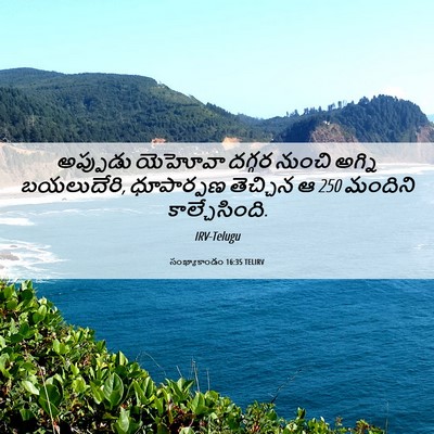 Picture 06 - సంఖ్యాకాండం 16:35 TELIRV - అప్పుడు యెహోవా - Bible Verse Picture
