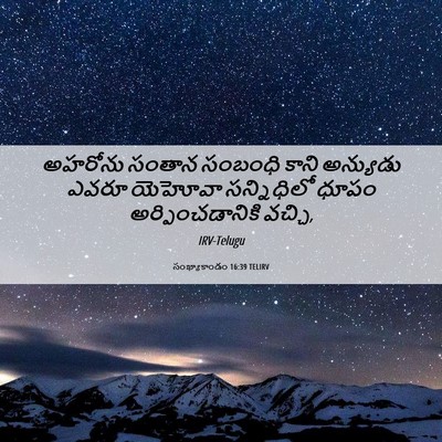 Picture 06 - సంఖ్యాకాండం 16:39 TELIRV - అహరోను సంతాన - Bible Verse Picture