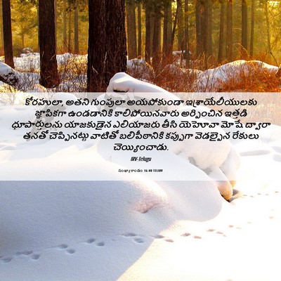 Picture 06 - సంఖ్యాకాండం 16:40 TELIRV - కోరహులా, అతని - Bible Verse Picture