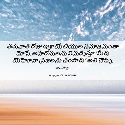 Picture 06 - సంఖ్యాకాండం 16:41 TELIRV - తరువాత రోజు - Bible Verse Picture
