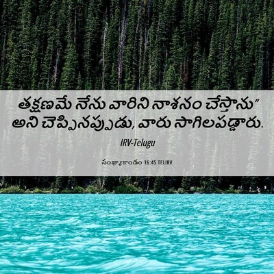 Picture 06 - సంఖ్యాకాండం 16:45 TELIRV - తక్షణమే నేను - Bible Verse Picture