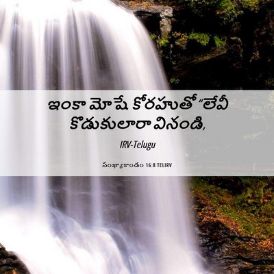 Picture 06 - సంఖ్యాకాండం 16:8 TELIRV - ఇంకా మోషే కోరహుతో - Bible Verse Picture