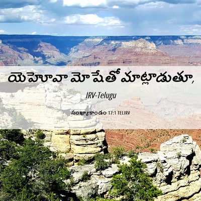 Picture 06 - సంఖ్యాకాండం 17:1 TELIRV - యెహోవా మోషేతో - Bible Verse Picture
