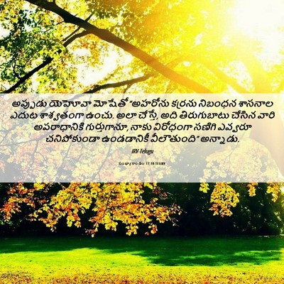 Picture 06 - సంఖ్యాకాండం 17:10 TELIRV - అప్పుడు యెహోవా - Bible Verse Picture