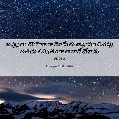 Picture 06 - సంఖ్యాకాండం 17:11 TELIRV - అప్పుడు యెహోవా - Bible Verse Picture
