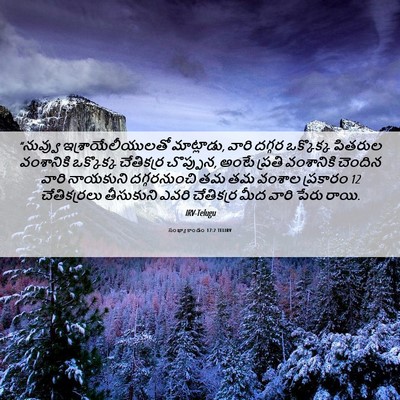 Picture 06 - సంఖ్యాకాండం 17:2 TELIRV - “నువ్వు - Bible Verse Picture