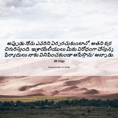 Picture 06 - సంఖ్యాకాండం 17:5 TELIRV - అప్పుడు నేను - Bible Verse Picture