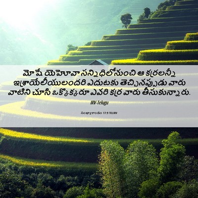 Picture 06 - సంఖ్యాకాండం 17:9 TELIRV - మోషే యెహోవా - Bible Verse Picture