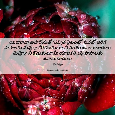 Picture 06 - సంఖ్యాకాండం 18:1 TELIRV - యెహోవా అహరోనుతో - Bible Verse Picture