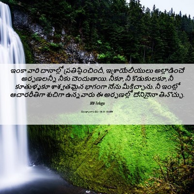 Picture 06 - సంఖ్యాకాండం 18:11 TELIRV - ఇంకా వారి - Bible Verse Picture