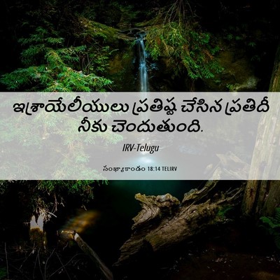 Picture 06 - సంఖ్యాకాండం 18:14 TELIRV - ఇశ్రాయేలీయులు - Bible Verse Picture