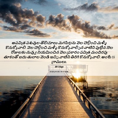 Picture 06 - సంఖ్యాకాండం 18:16 TELIRV - అపవిత్ర పశువుల - Bible Verse Picture