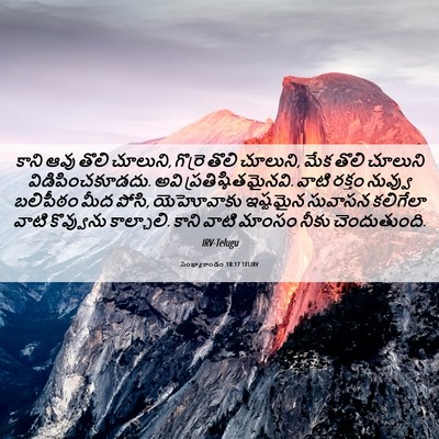 Picture 06 - సంఖ్యాకాండం 18:17 TELIRV - కాని ఆవు తొలి - Bible Verse Picture