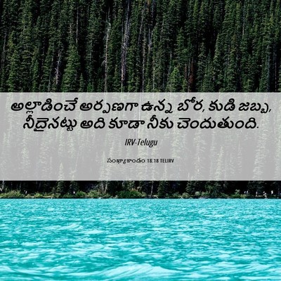 Picture 06 - సంఖ్యాకాండం 18:18 TELIRV - అల్లాడించే - Bible Verse Picture
