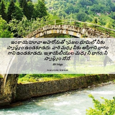 Picture 06 - సంఖ్యాకాండం 18:20 TELIRV - ఇంకా యెహోవా - Bible Verse Picture