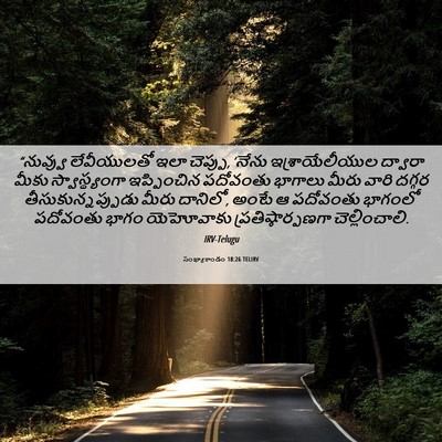 Picture 06 - సంఖ్యాకాండం 18:26 TELIRV - “నువ్వు లేవీయులతో - Bible Verse Picture