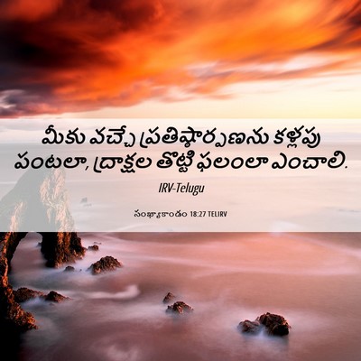 Picture 06 - సంఖ్యాకాండం 18:27 TELIRV - మీకు వచ్చే - Bible Verse Picture