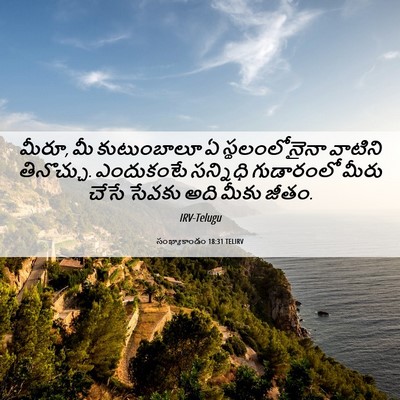 Picture 06 - సంఖ్యాకాండం 18:31 TELIRV - మీరూ, మీ కుటుంబాలూ - Bible Verse Picture