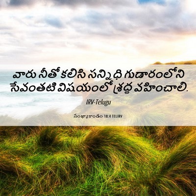 Picture 06 - సంఖ్యాకాండం 18:4 TELIRV - వారు నీతో కలిసి - Bible Verse Picture