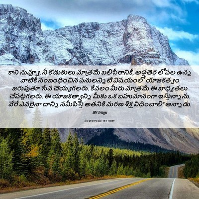 Picture 06 - సంఖ్యాకాండం 18:7 TELIRV - కాని నువ్వూ, నీ - Bible Verse Picture