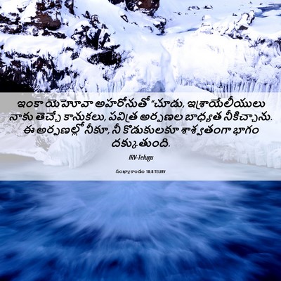 Picture 06 - సంఖ్యాకాండం 18:8 TELIRV - ఇంకా యెహోవా - Bible Verse Picture
