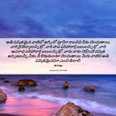 Picture 06 - సంఖ్యాకాండం 18:9 TELIRV - అతి పవిత్రమైన - Bible Verse Picture