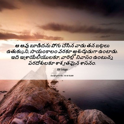 Picture 06 - సంఖ్యాకాండం 19:10 TELIRV - ఆ ఆవు బూడిదను పోగు - Bible Verse Picture