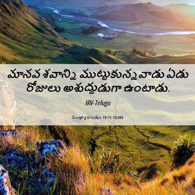 Picture 06 - సంఖ్యాకాండం 19:11 TELIRV - మానవ శవాన్ని - Bible Verse Picture