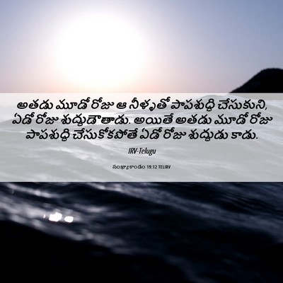 Picture 06 - సంఖ్యాకాండం 19:12 TELIRV - అతడు మూడో రోజు ఆ - Bible Verse Picture