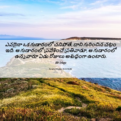 Picture 06 - సంఖ్యాకాండం 19:14 TELIRV - ఎవరైనా ఒక - Bible Verse Picture