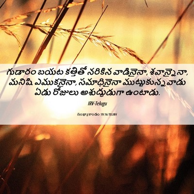 Picture 06 - సంఖ్యాకాండం 19:16 TELIRV - గుడారం బయట - Bible Verse Picture