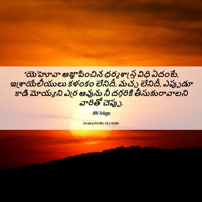 Picture 06 - సంఖ్యాకాండం 19:2 TELIRV - “యెహోవా - Bible Verse Picture
