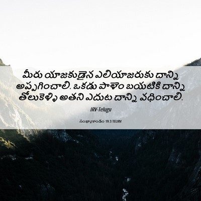 Picture 06 - సంఖ్యాకాండం 19:3 TELIRV - మీరు యాజకుడైన - Bible Verse Picture