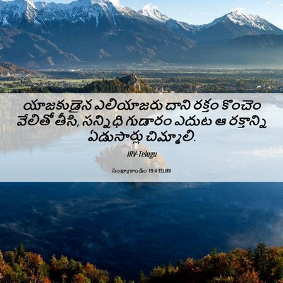 Picture 06 - సంఖ్యాకాండం 19:4 TELIRV - యాజకుడైన ఎలియాజరు - Bible Verse Picture