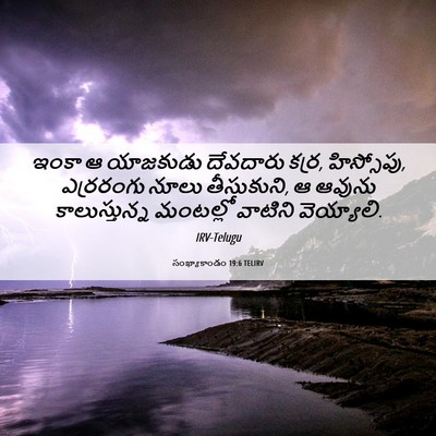 Picture 06 - సంఖ్యాకాండం 19:6 TELIRV - ఇంకా ఆ యాజకుడు - Bible Verse Picture