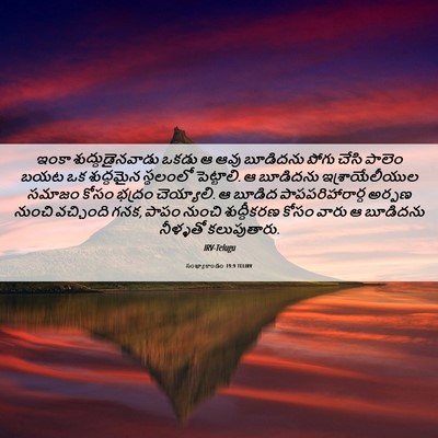 Picture 06 - సంఖ్యాకాండం 19:9 TELIRV - ఇంకా - Bible Verse Picture