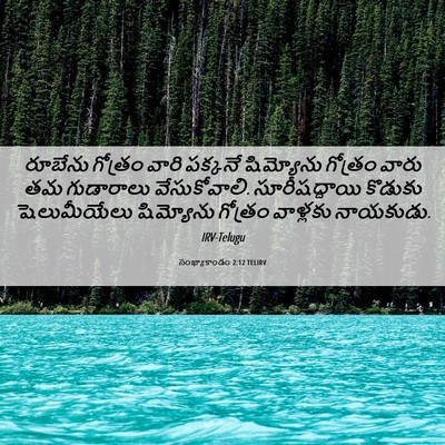 Picture 06 - సంఖ్యాకాండం 2:12 TELIRV - రూబేను గోత్రం - Bible Verse Picture