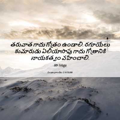 Picture 06 - సంఖ్యాకాండం 2:14 TELIRV - తరువాత గాదు - Bible Verse Picture