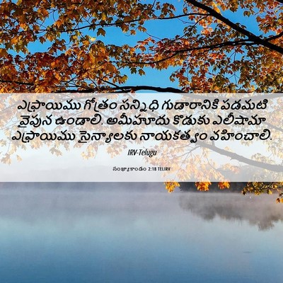 Picture 06 - సంఖ్యాకాండం 2:18 TELIRV - ఎఫ్రాయిము గోత్రం - Bible Verse Picture