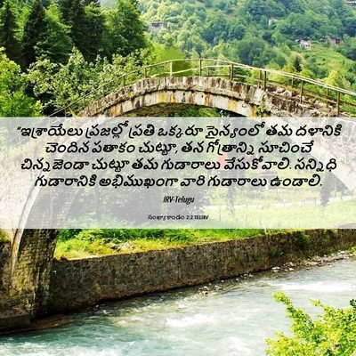 Picture 06 - సంఖ్యాకాండం 2:2 TELIRV - “ఇశ్రాయేలు - Bible Verse Picture