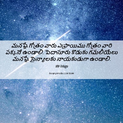 Picture 06 - సంఖ్యాకాండం 2:20 TELIRV - మనష్షే గోత్రం - Bible Verse Picture