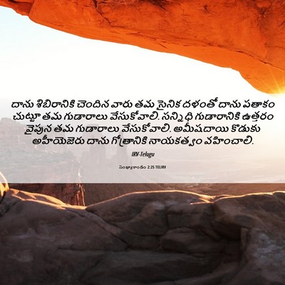 Picture 06 - సంఖ్యాకాండం 2:25 TELIRV - దాను శిబిరానికి - Bible Verse Picture