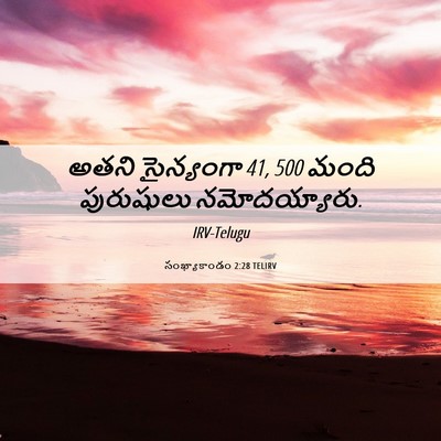 Picture 06 - సంఖ్యాకాండం 2:28 TELIRV - అతని సైన్యంగా 41, 500 - Bible Verse Picture