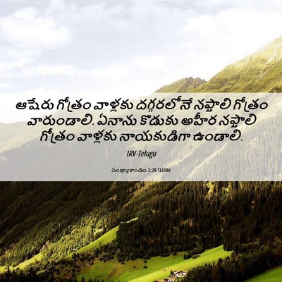 Picture 06 - సంఖ్యాకాండం 2:29 TELIRV - ఆషేరు గోత్రం - Bible Verse Picture