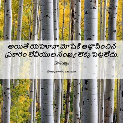 Picture 06 - సంఖ్యాకాండం 2:33 TELIRV - అయితే యెహోవా - Bible Verse Picture
